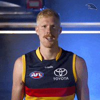 Himmelberg GIF by Adelaide Crows
