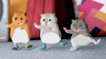 badhabitsocks GIF