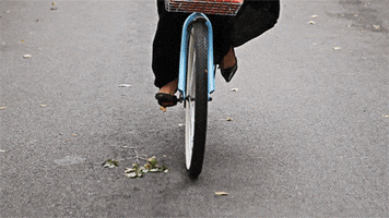 fashion bike GIF by by The Barkers