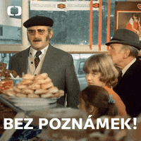 Ceskatelevize Czechtv GIF