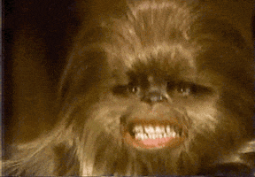 Star Wars Smiling GIF