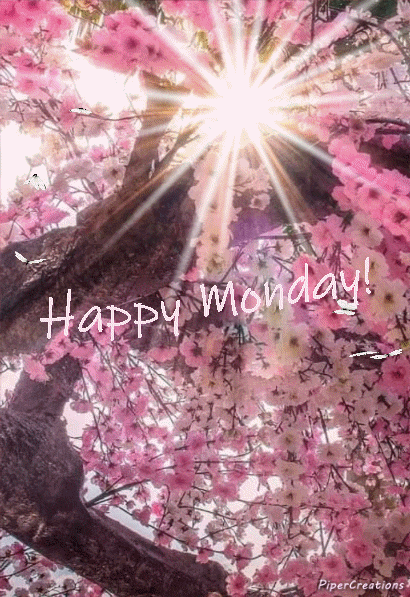 Pipercreations Greeting Happymonday Inspiration Butterflies Tree Flowers Blooms Sunrays GIF by PiperCreations