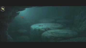 sopieels  GIF
