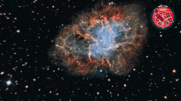 Universe Zoom GIF by ESA/Hubble Space Telescope