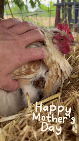 Happy Mom GIF