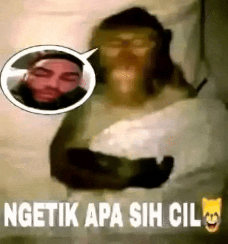Zilanarlanda GIF