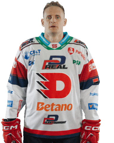 Hockey Czech Sticker by HC Dynamo Pardubice