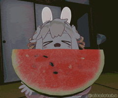 Water Melon Vrchat GIF