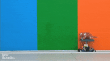 andriybrodetskyi  GIF