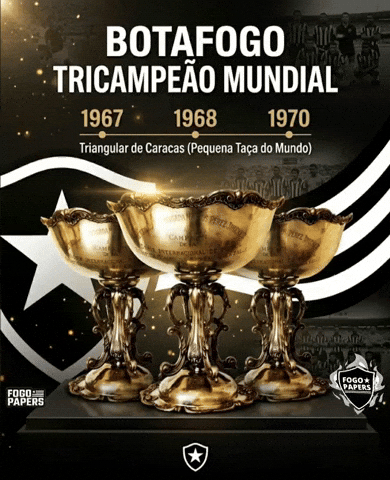 Botafogo De Futebol E Regatas Bfr GIF