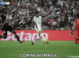Copa Do Brasil Corinthians GIF