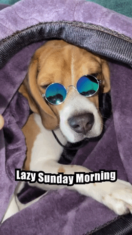 Lazy Sunday GIF by Rashmi Chadha