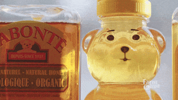 bear honey GIF by CBC