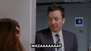 How Are You Doing Jimmy Fallon GIF by The Tonight Show Starring Jimmy Fallon