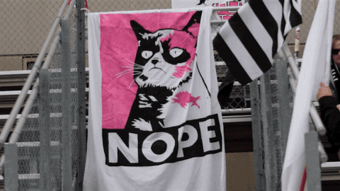 Cat Angry Sticker - Cat Angry Grumpy - Discover & Share GIFs