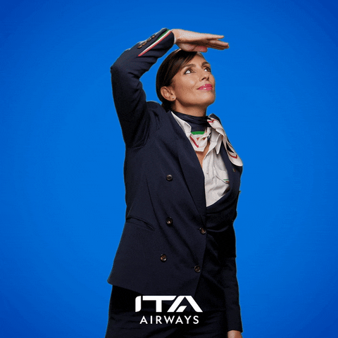 Travel Fly GIF by ITA Airways