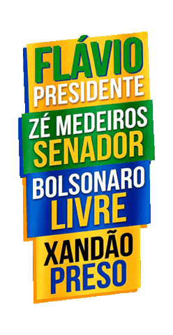 Mato Grosso Sticker by Zé Medeiros