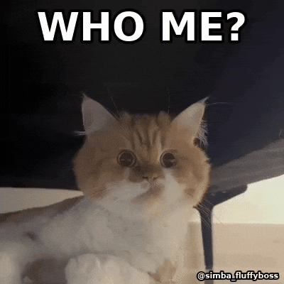 Reaction Gif GIF