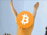 Cardano Gif Gif By Crypto Memes Crypto Marketing Find Share On Giphy