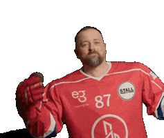 Towers Rapperswil Sticker by eigengrau