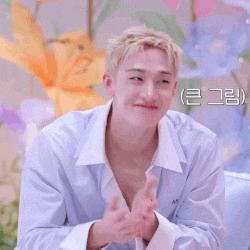 Stray Kids Chan GIF