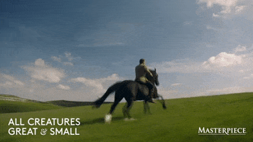 Horseback Riding Horse GIF by MASTERPIECE | PBS
