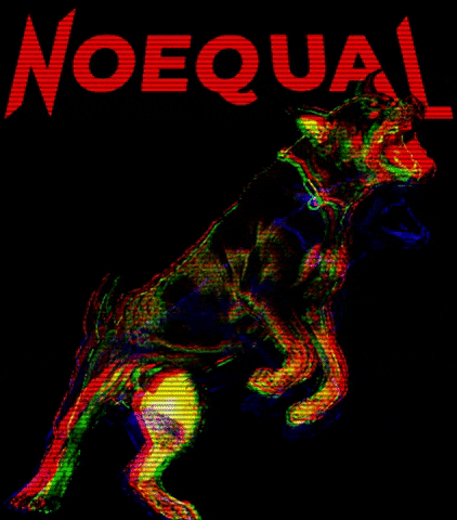 noequalnewyork GIF