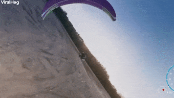 Paramotor Flight Ends In Crash GIF by ViralHog