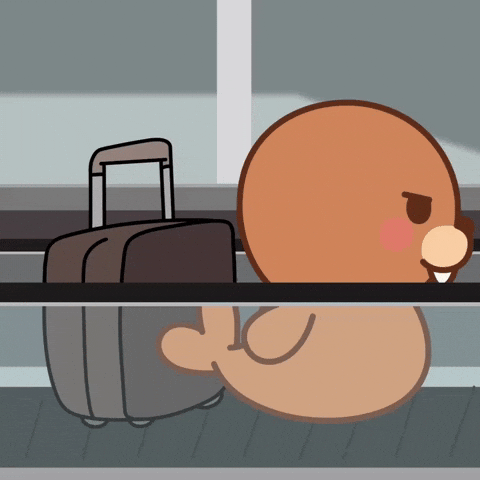 Airplane Airport GIF by FROSTYS