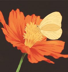 Flowers GIF  Find  Share on GIPHY  Anime flower Flowers gif Flowers