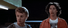 Bill And Ted Reaction GIF by MOODMAN