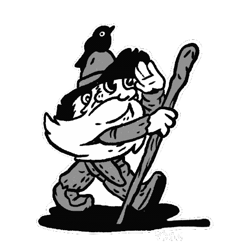 Adventure Forest Sticker by Vardagen