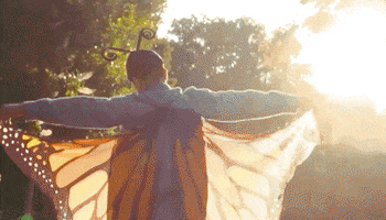 Mariposa GIF by NOW That's Music