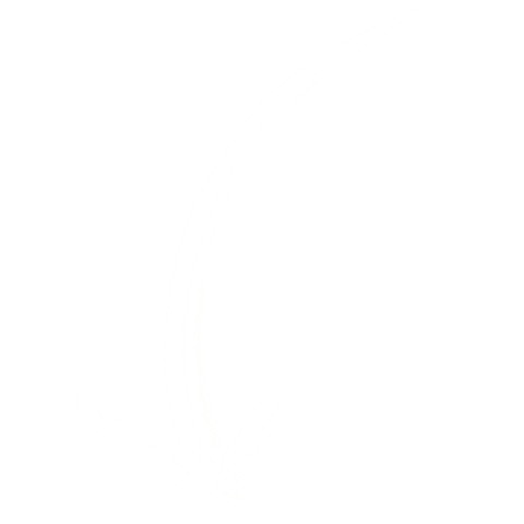 Arrows Sticker by Bedhead Hats