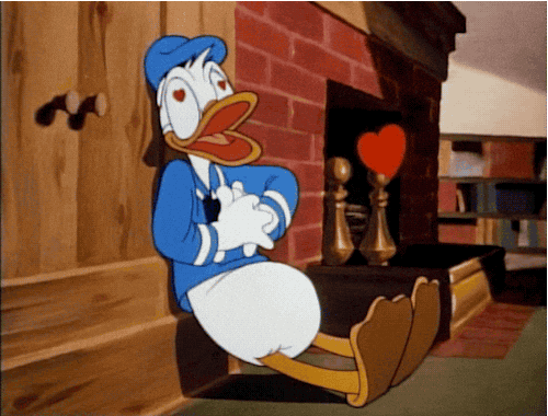 What made you fall in love with someone?