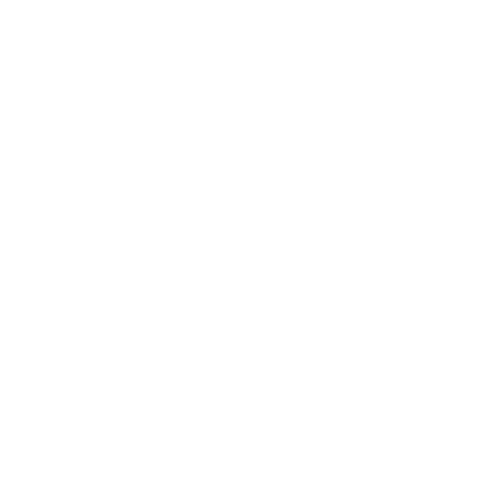 Race Design Sticker