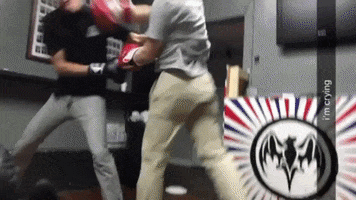 Knockout Fighting GIF by Jackson