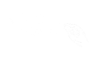 The Veil Brewing Sticker