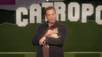 Will Arnett Pet The Cat GIF by LEGO Masters