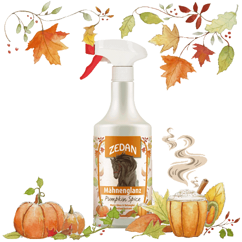 Pumpkin Spice Herbst Sticker by ZEDAN