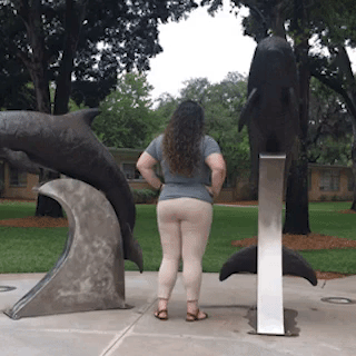 College Admissions GIF by Jacksonville University