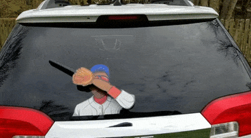 baseball waving GIF by WiperTags Wiper Covers