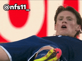 Fifa World Cup GIF