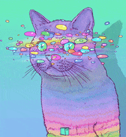psychedelics cat gif GIF by Phazed