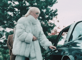 Fur GIF
