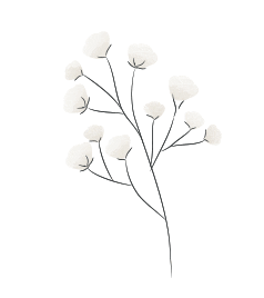 Cotton Sticker by satelittle_trendstudio