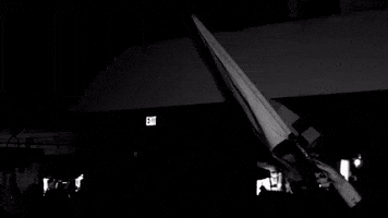 Ska Punk GIF by Bill Skasby