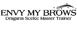 Envy My Brows Sticker