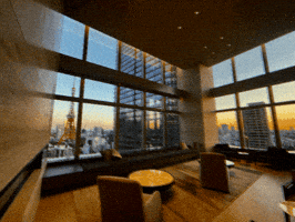 City Skyline Japan GIF