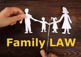 Bail Lawyers In Delhi GIF